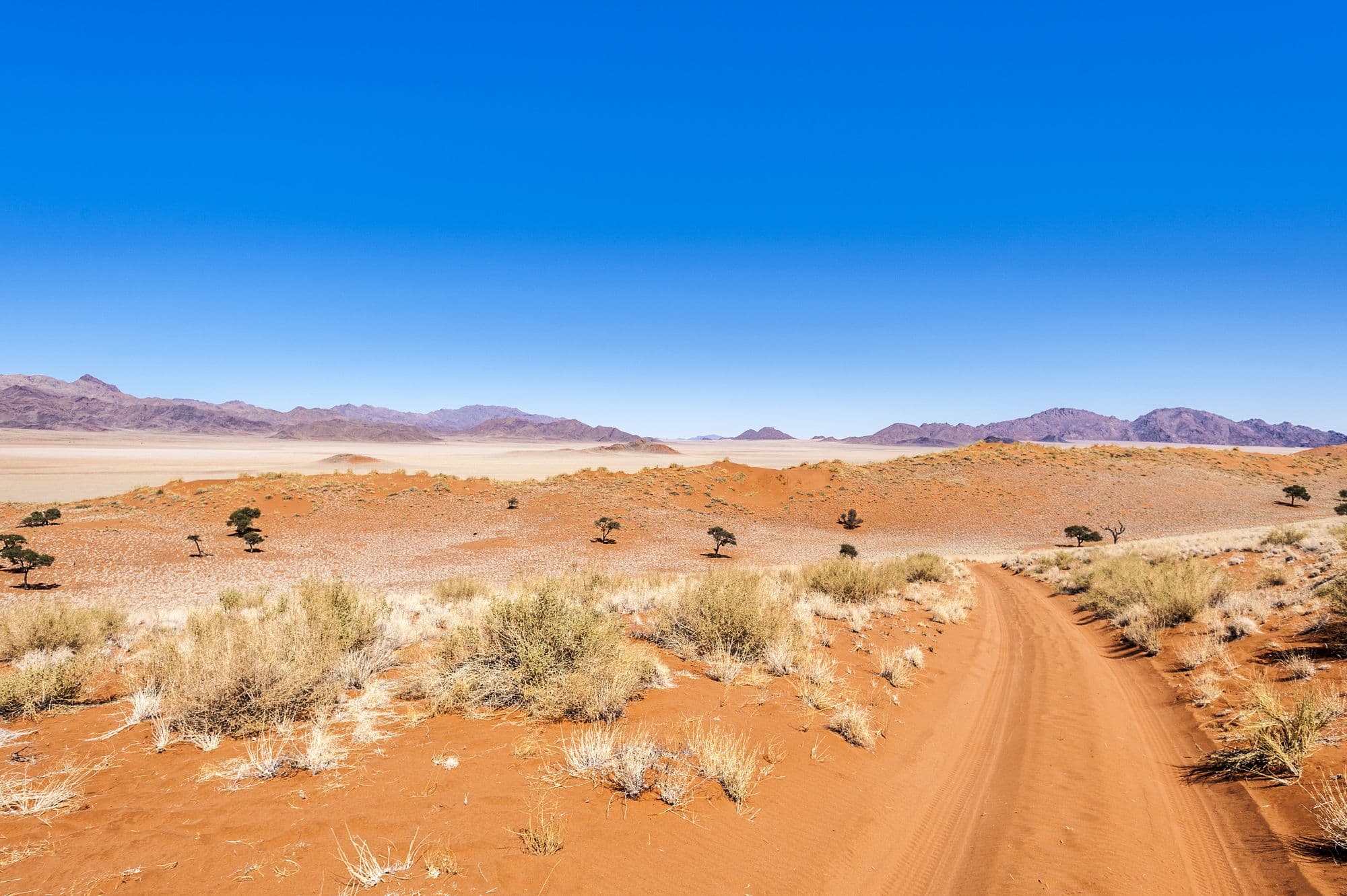 Dirt road in Namibrand Nature Reserve