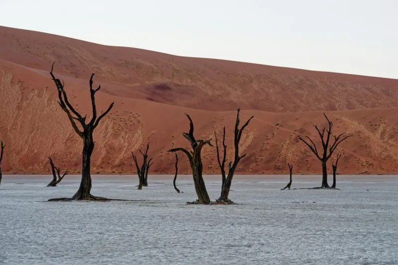 Sossusvlei