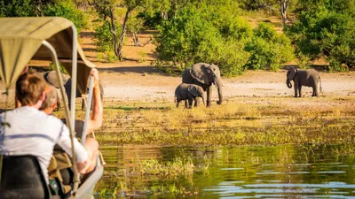 Etosha National Park